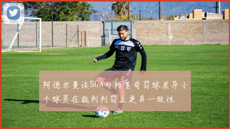 阿德尔曼谈SGA与约基奇罚球差异小个球员在裁判判罚上更具一致性